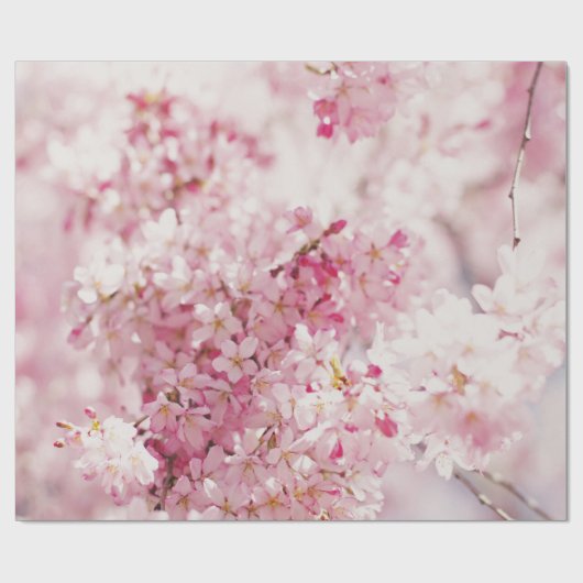 PINK EN WITTE CHERRY BLOSSOM CADEAUPAPIER (Vlak)