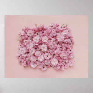 PINK EN WITTE VLOEREN POSTER
