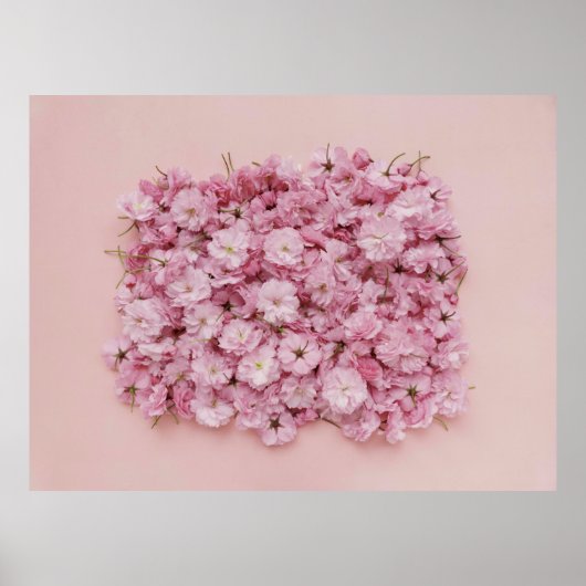 PINK EN WITTE VLOEREN POSTER (Voorkant)
