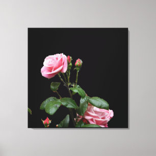 PINK ENGELS ROOS CANVAS PRINT