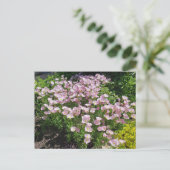 Pink Evening Primrose Briefkaart (Staand voorkant)