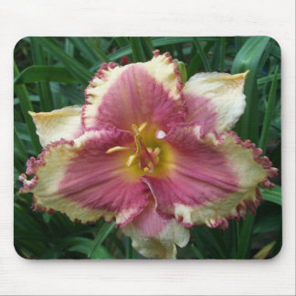 Pink Eyed Daylily Mousepad Muismat
