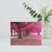 Pink Fantasy park Briefkaart (Staand voorkant)