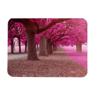 Pink Fantasy park Magneet