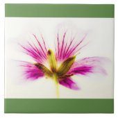 Pink Feather Flower Tegel Tegeltje (Voorkant)
