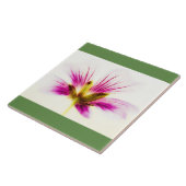 Pink Feather Flower Tegel Tegeltje (Zijkant)