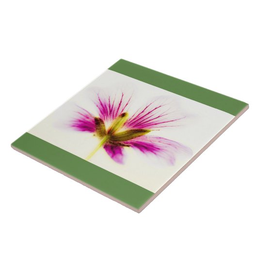 Pink Feather Flower Tegel Tegeltje (Zijkant)