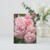 Pink Felicia Rozen Briefkaart (Staand voorkant)