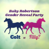 Pink Filly of Blue Colt Geslacht Onthullen Partij Raamsticker (Vel 3)