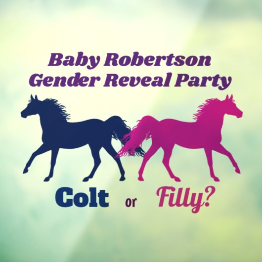 Pink Filly of Blue Colt Geslacht Onthullen Partij Raamsticker (Vel 3)