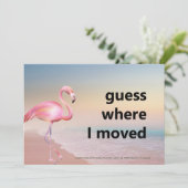 Pink Flamingo Beach Sunset Raad eens waar ik naart Aankondiging (Staand voorkant)