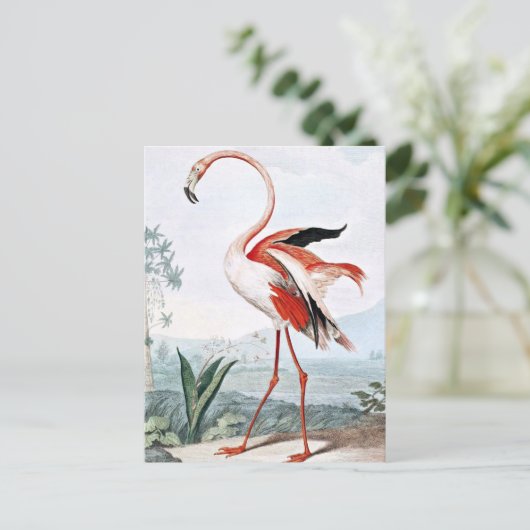 Pink Flamingo Bird  Art Briefkaart (Staand voorkant)