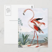Pink Flamingo Bird  Art Briefkaart (Voorkant / Achterkant)