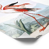 Pink Flamingo Bird  Art Foto Afdruk (Hoek)