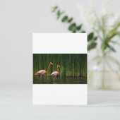 PINK FLAMINGO BRIEFKAART (Staand voorkant)