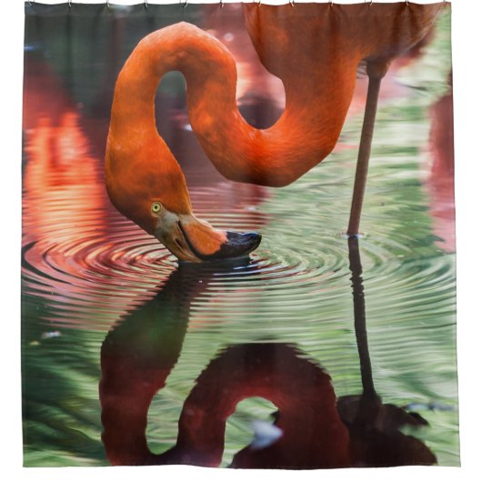 PINK FLAMINGO DOUCHEGORDIJN (Voorkant)