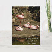 PINK FLAMINGO NOTE CARDS KAART (Voorkant)