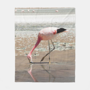 PINK FLAMINGO OP LICHAAM WATER FLEECE DEKEN