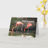 Pink Flamingo Pair Wildlife Foto Sympathie Kaart (Gele Bloem)
