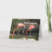 Pink Flamingo Pair Wildlife Foto Sympathie Kaart (Voorkant)