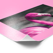 Pink Flamingo Posin  Foto Afdruk (Hoek)