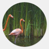 PINK FLAMINGO RONDE STICKER (Voorkant)