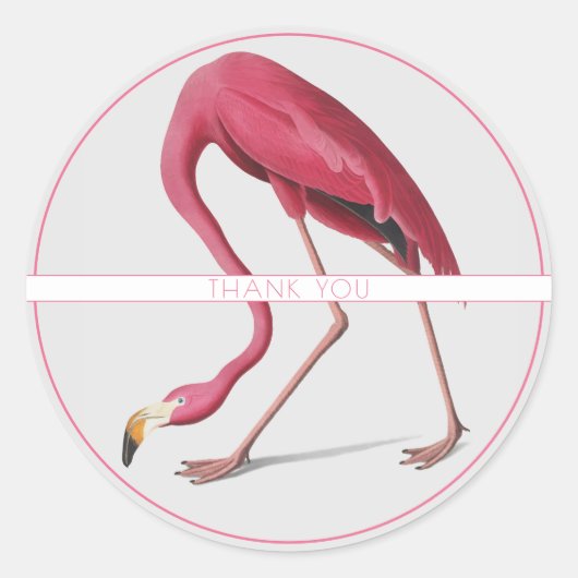 PINK FLAMINGO ROUND CUSTOM NAME STICKER (Voorkant)