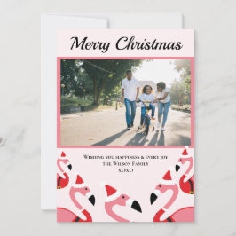 Pink Flamingo Santa Kerstmis