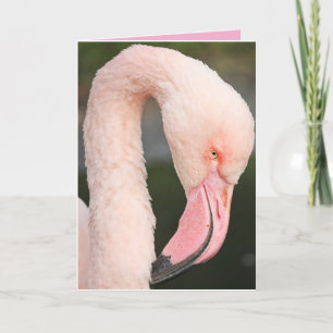PINK FLAMINGO STAY FABULOUS BIRTHDAY KAART