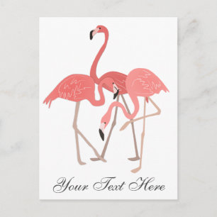 Pink Flamingo Trio Briefkaart