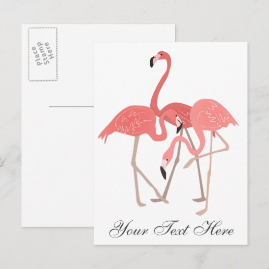 Pink Flamingo Trio Briefkaart (Voorkant / Achterkant)
