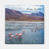 Pink Flamingoes in Bolivia Magneet (Voorkant)