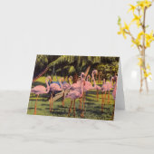 Pink Flamingos in Florida Kaart (Gele Bloem)