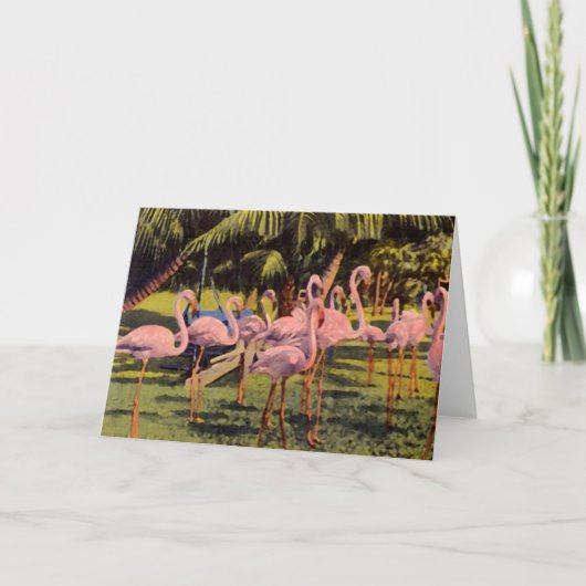 Pink Flamingos in Florida Kaart (Voorkant)