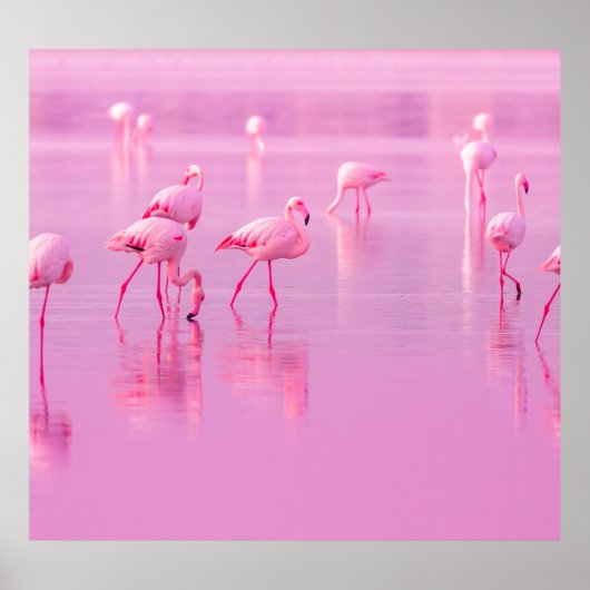 Pink Flamingos Lake Romantisch Concept Poster (Voorkant)