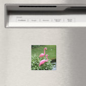 PINK FLAMINGOS magnet (vierkant) (Insitu (Vaatwasser))