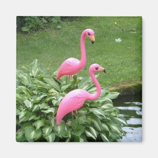 PINK FLAMINGOS magnet (vierkant) (Voorkant)