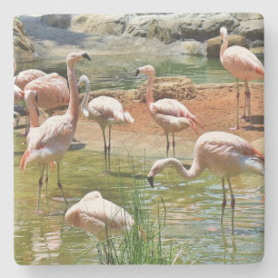Pink Flamingos Onderzetter