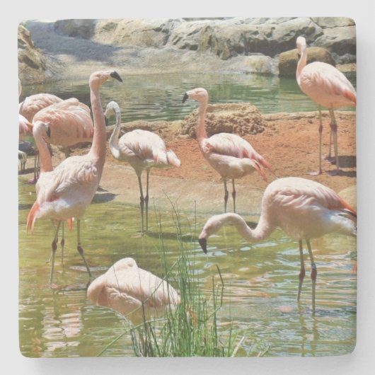 Pink Flamingos Onderzetter (Voorkant)