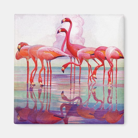 Pink Flamingos van Francis Lee Jaques Magneet (Voorkant)