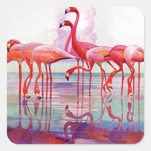 Pink Flamingos van Francis Lee Jaques Vierkante Sticker (Voorkant)