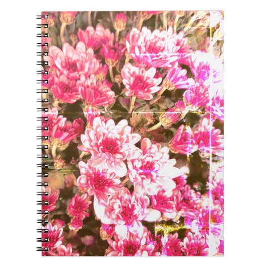 Pink Floral Bloom Pattern – Soft Botanical Design Notitieboek (Voorkant)