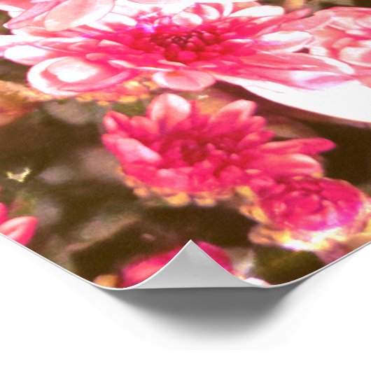 Pink Floral Bloom Pattern – Soft Botanical Design Poster (Hoek)