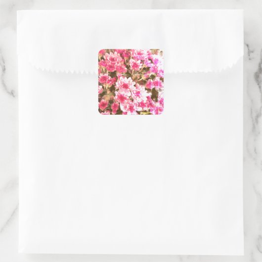 Pink Floral Bloom Pattern – Soft Botanical Design Vierkante Sticker (Tas)