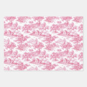 Pink Floral Chinoiserie Toile Inpakpapier Vel (Voorkant 3)
