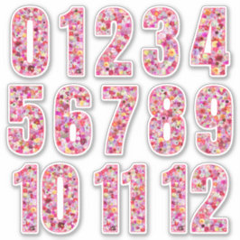 Pink Floral Numbers Twelve Months  Sticker