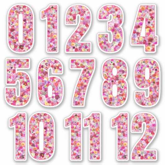 Pink Floral Numbers Twelve Months  Sticker (Voorkant)