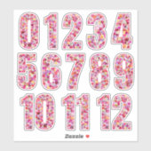 Pink Floral Numbers Twelve Months  Sticker (Vel)