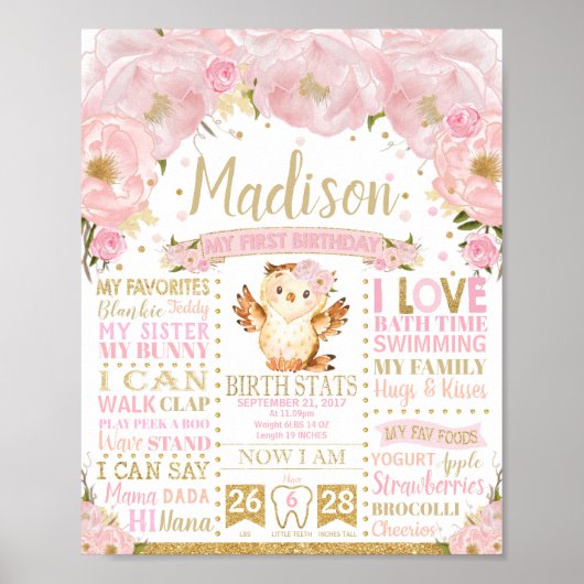 Pink Floral Owl 1st Birthday Milestone Birth Stats Poster (Voorkant)