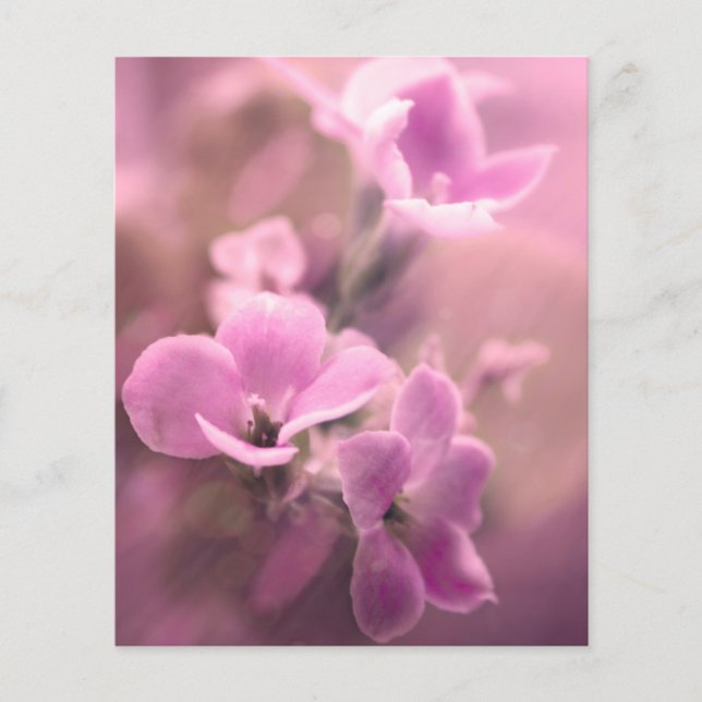 Pink Floral Scrapbook Ephemera (Voorkant)